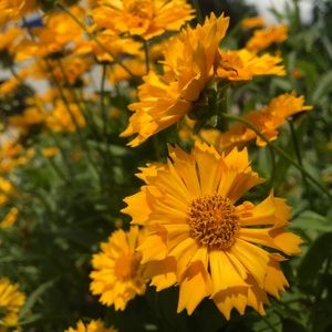 Meet your Posher, Gretchen